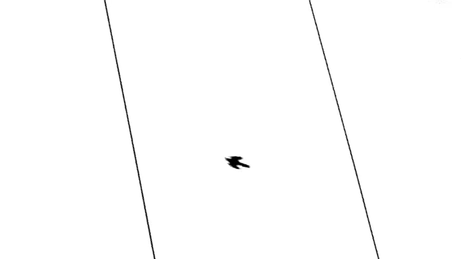 El camino del crecimiento